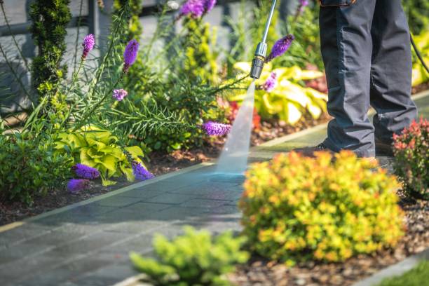 Best Roof Cleaning and Mildew Removal in Mitchell, IL